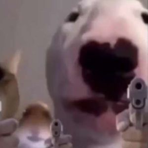 Meet your Posher, King jackson the first